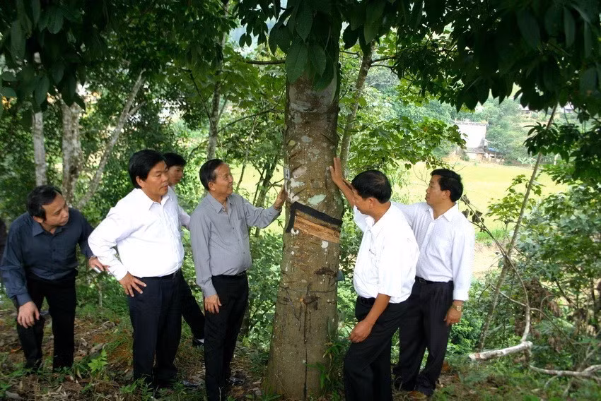Phó Thủ tướng Trương Vĩnh Trọng thăm vườn cây cao su ở xã Hoang Thèn (huyện Phong Thổ) trong chuyến thăm, làm việc tại tỉnh Lai Châu từ ngày 13-15/10/2007. (Ảnh: Mạnh Hà/TTXVN)