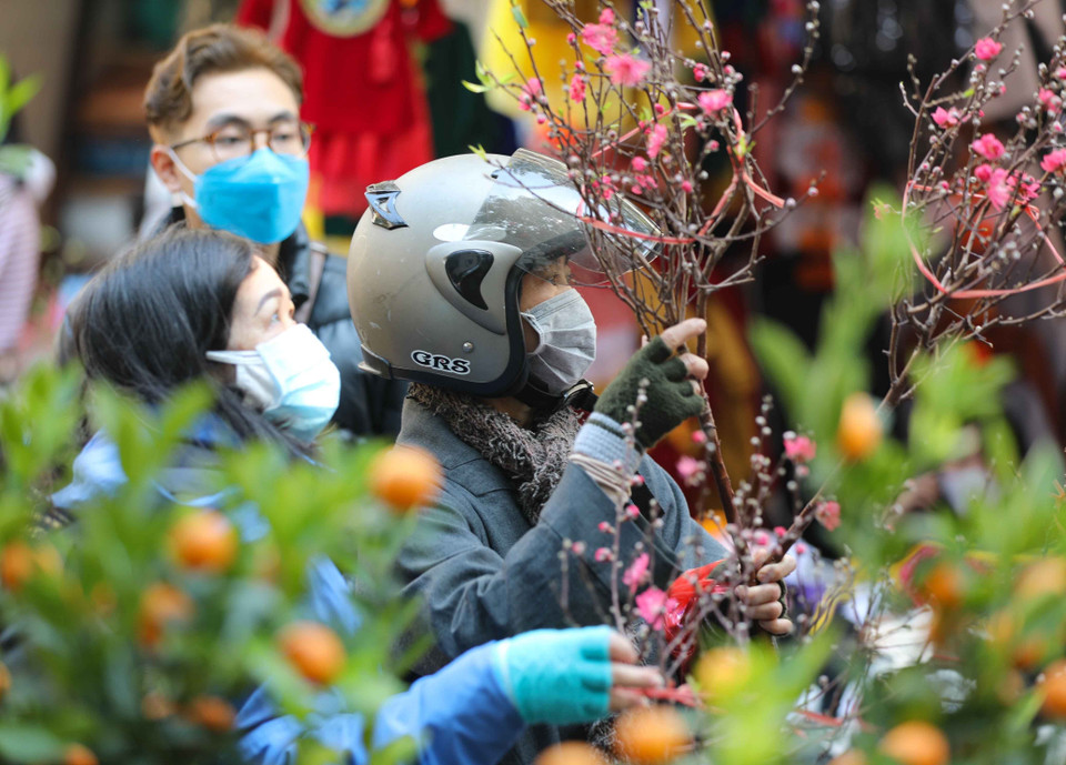 Người dân chọn mua cành đào về chơi Tết. (Ảnh: Thanh Tùng/TTXVN)