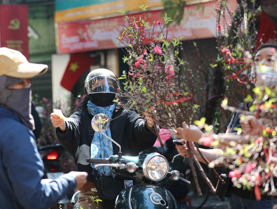 Người dân chọn mua cành đào về chơi Tết. (Ảnh: Thanh Tùng/TTXVN)