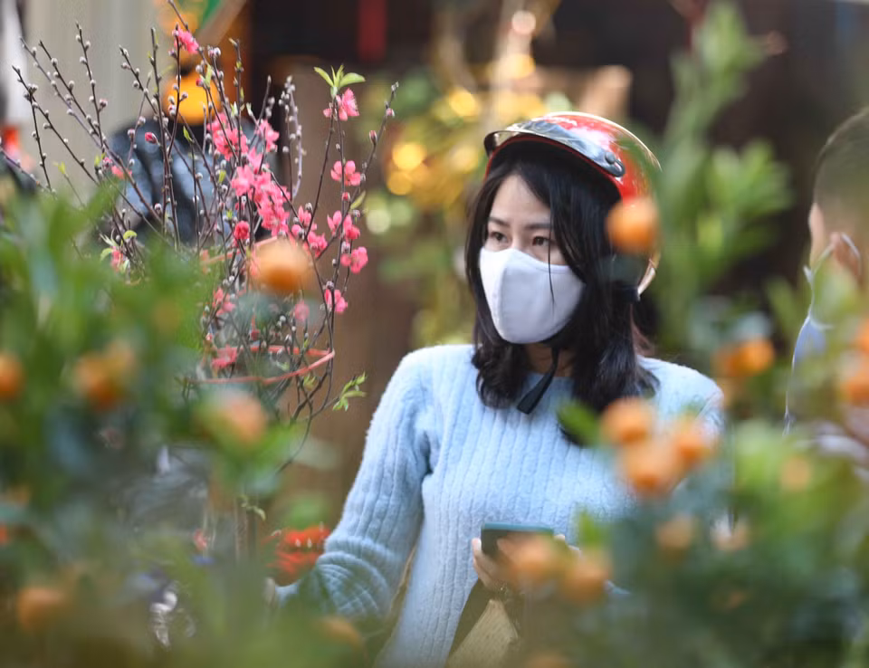Người dân chọn mua cành đào về chơi Tết. (Ảnh: Thanh Tùng/TTXVN)