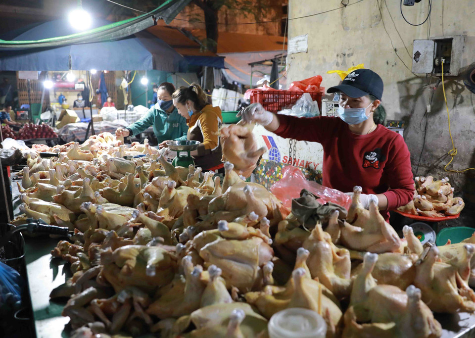 Tiểu thương chuẩn bị nguồn thực phẩm tại chợ Nam Hà Nội. (Ảnh: Vũ Sinh/TTXVN)