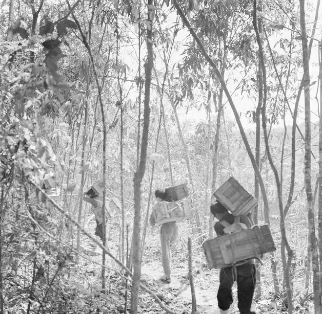 Chủ động hậu cần chiến lược cho chiến dịch, bảo đảm 5 - 6 vạn quân tác chiến trong thời gian 4 - 5 tháng. Trong ảnh: Đại đội 2 Thanh niên xung phong mặt trận Đường 9 - Nam Lào vận chuyển đạn và gạo cho bộ đội. (Ảnh: Nghĩa Dũng/TTXVN)