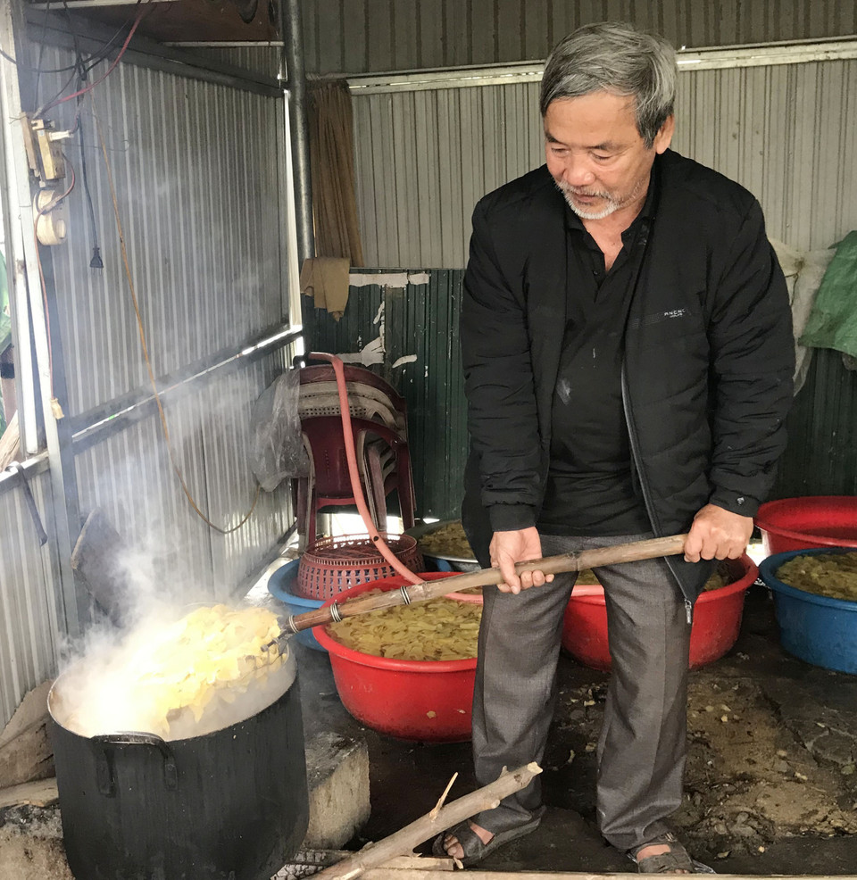 Gừng tươi được luộc bằng chanh sau đó vớt ra rửa sạch rồi làm mứt. (Ảnh: Thanh Thủy/TTXVN)