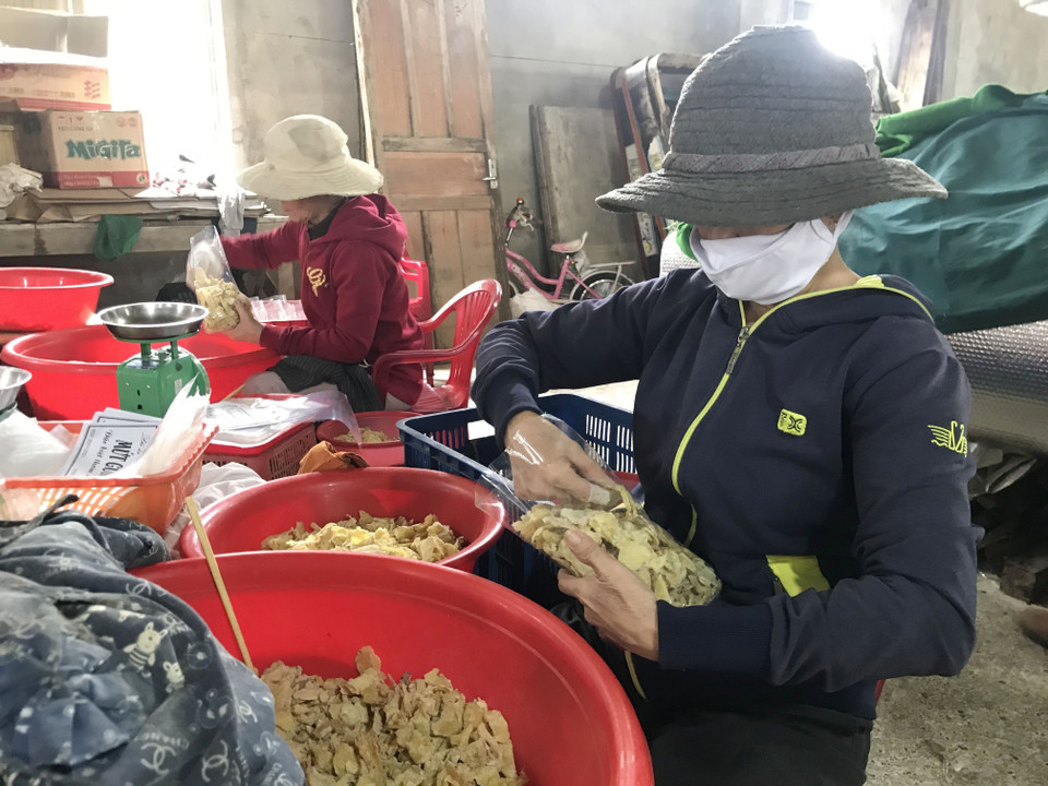 Phân loại và đóng gói mứt gừng. (Ảnh: Thanh Thủy/TTXVN)