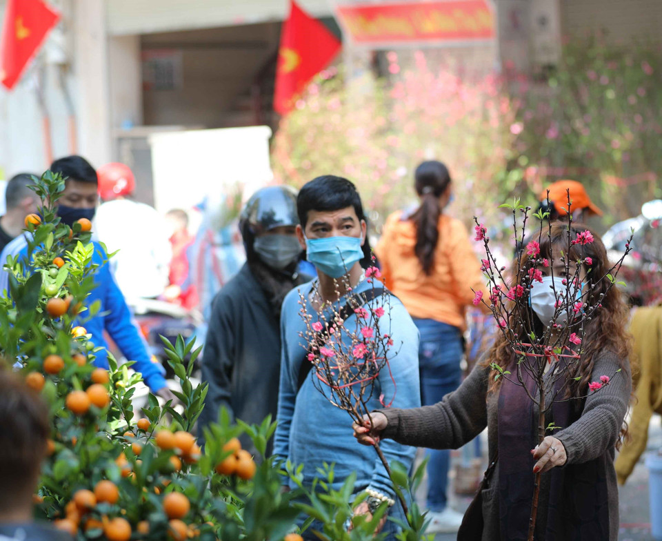 Người dân chọn mua cành đào nhỏ về cắm bàn thờ trong dịp Tết. (Ảnh: Thanh Tùng/TTXVN)