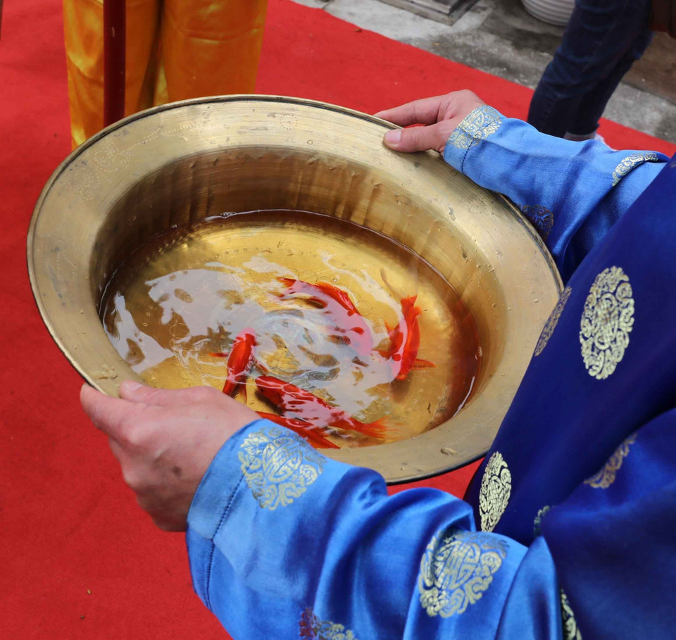 Cá chép được thả trong ngày lễ 23 tháng Chạp. (Ảnh: Thanh Tùng/TTXVN)