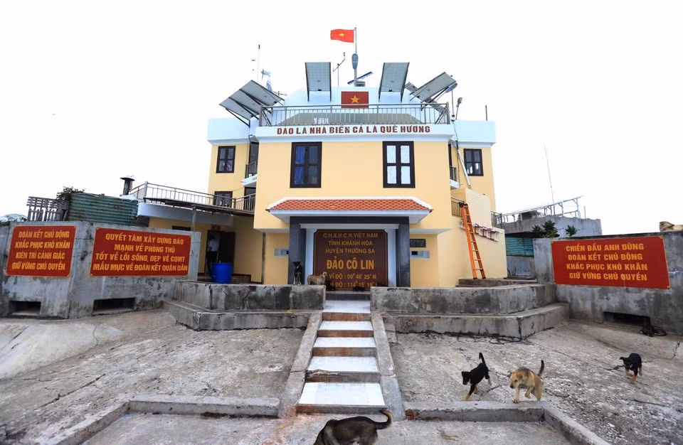 Những chú chó trên Đảo Cô Lin, đây được coi là người bạn của lính đảo. (Ảnh: Thành Đạt/TTXVN)