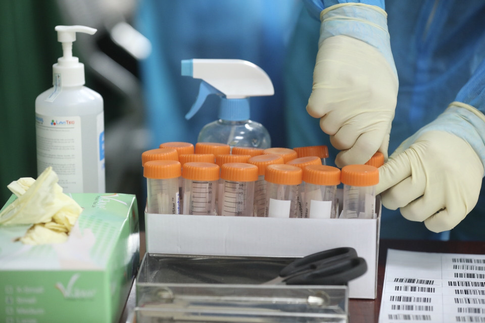 Mẫu được lấy sẽ xét nghiệm gộp 10 mẫu. (Ảnh: Minh Quyết/TTXVN)