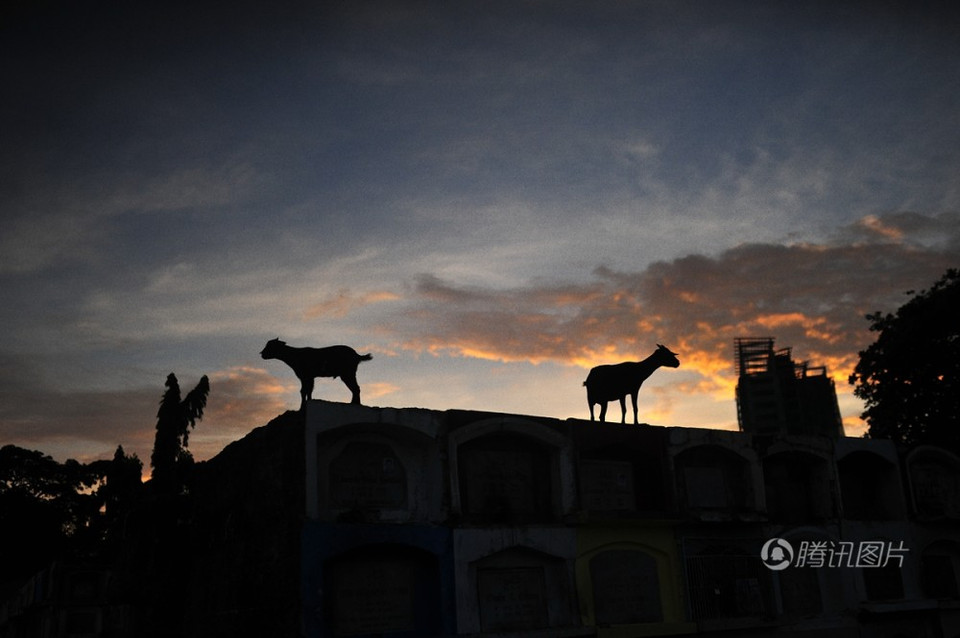 Cuộc sống tại nghĩa trang khi màn đêm buông xuống. (Nguồn: Sipa)