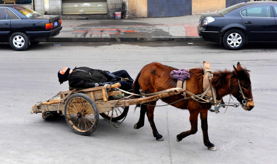 Ngủ trên xe kéo. (Nguồn: QQ)