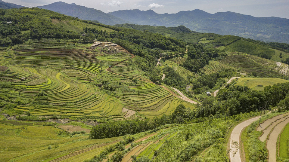 Những thửa ruộng bậc thang ở xã Miền Đồi trải dài từ đỉnh đồi xuống chân đồi tạo ra nét hùng vĩ của cảnh quan ruộng bậc thang nơi đây. (Ảnh: Trọng Đạt/TTXVN)