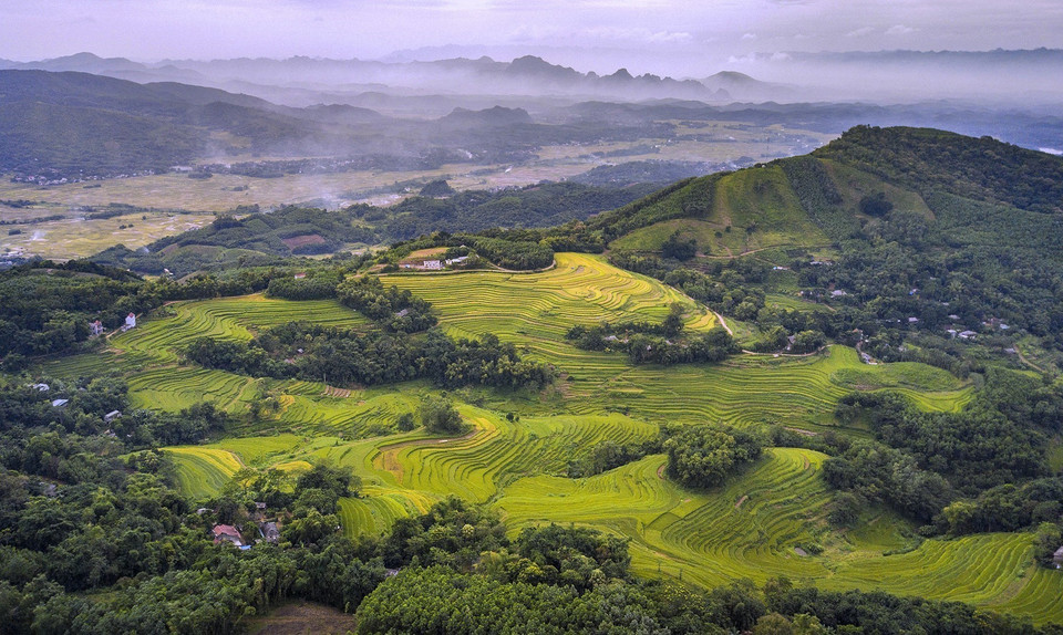 Vẻ đẹp của những thửa ruộng bậc thang Miền Đồi (Hòa Bình) không thua kém gì so với những vùng đất vốn đã rất nổi tiếng về ruộng bậc thang như Lào Cai, Yên Bái... (Ảnh: Trọng Đạt/TTXVN)