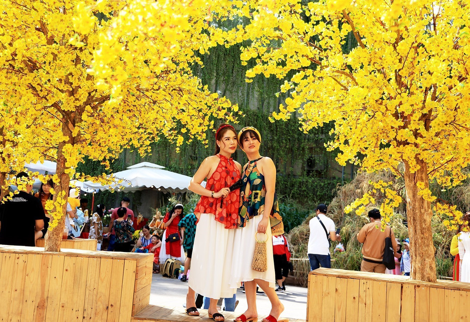 Người dân và du khách tham quan, trải nghiệm không gian mai vàng giữa trung tâm Thành phố Hồ Chí Minh ngày 29 Tết. (Ảnh: Hồng Đạt/TTXVN)