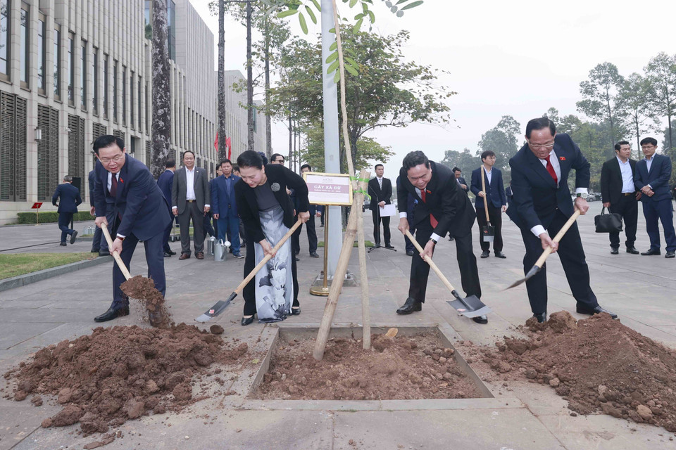 Chủ tịch Quốc hội Vương Đình Huệ, nguyên Chủ tịch Quốc hội Nguyễn Thị Kim Ngân và các vị lãnh đạo Quốc hội trồng cây xà cừ do Chủ tịch Quốc hội Thái Lan Chuan Leekpai tặng. (Ảnh: Doãn Tấn/TTXVN)
