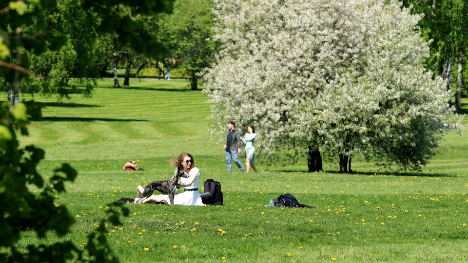 Mùa hoa trong công viên Kolomenskoye. (Ảnh: Trần Hiếu/TTXVN)