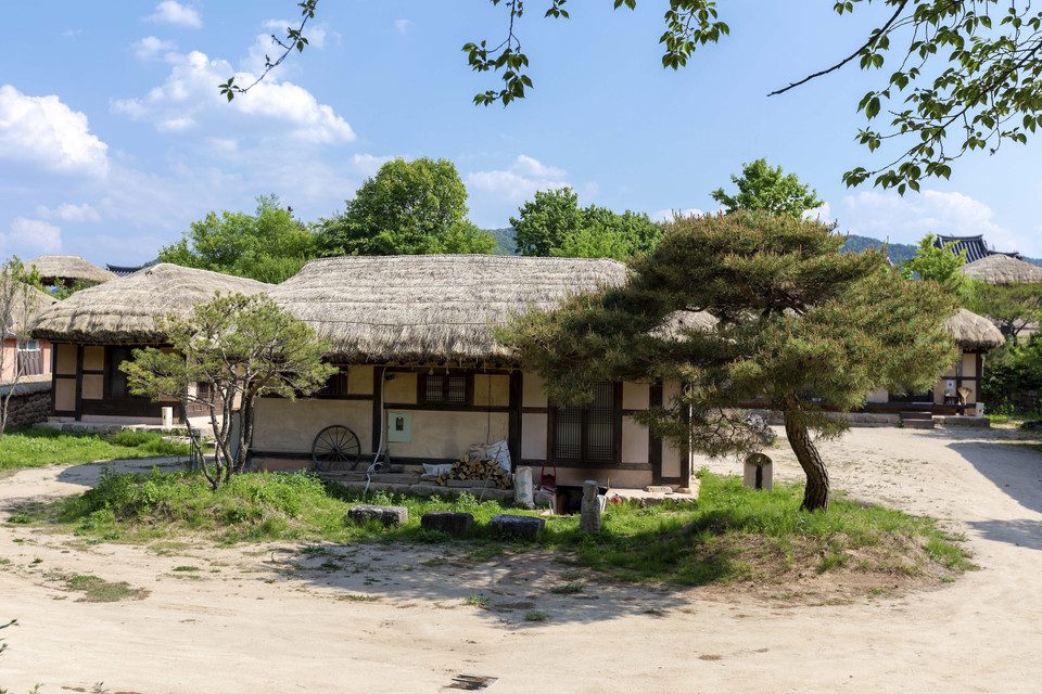 Được hình thành từ cuối thời Goryeo bởi 3 dòng họ lớn ở Hàn Quốc là Huh, Ahn và Ryu, đến cuối thế kỷ XVII làng Hahoe trở thành không gian sinh sống của dòng họ Ryu và hiện chỉ có 100 gia đình còn sinh sống tại làng. Làng Hahoe cũng được biết đến là nơi chôn rau cắt rốn của hai anh em Ryu Unryong (học giả về Nho giáo nổi tiếng dưới Triều đại Joseon) và Ryu Sengryong, người lãnh đạo của Hàn Quốc trong thời kỳ bị Nhật Bản chiếm đóng từ năm 1592-1598. Trong ảnh: Ngôi nhà cổ có tường bằng đất và mái rơm đặc trưng của tầng lớp người nghèo ở Triều đại Joseon. (Ảnh: Anh Nguyên/TTXVN)