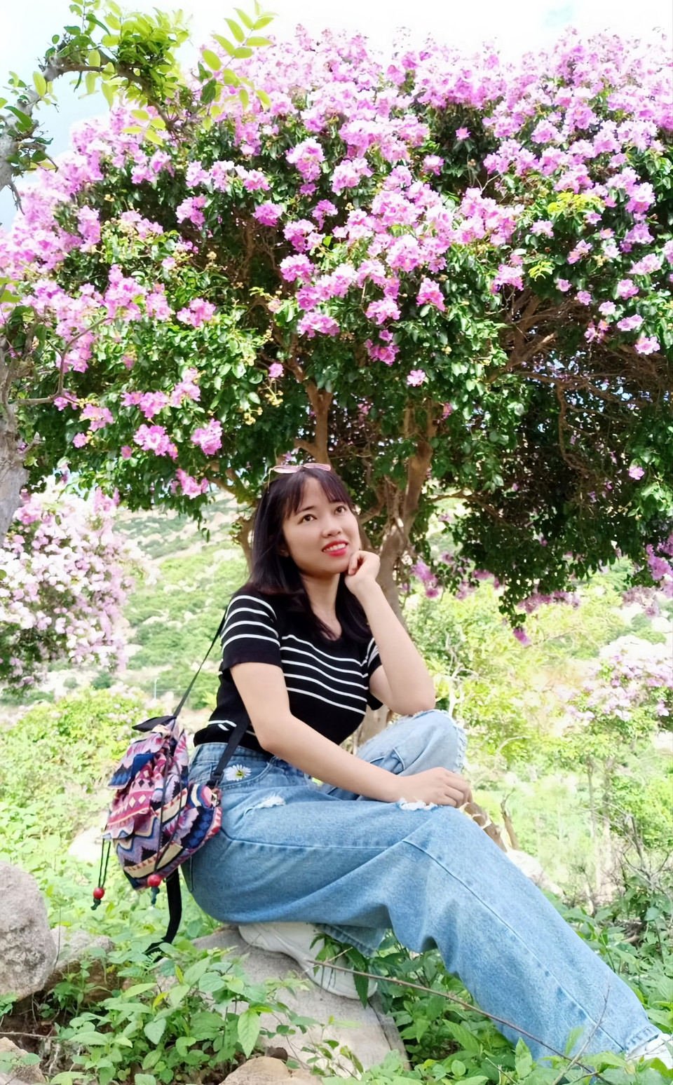 Tranh thủ dịp này, du khách ghi lại cho mình khoảnh khắc mộng mơ cùng hoa bằng lăng. (Ảnh: Nguyễn Thành/TTXVN)