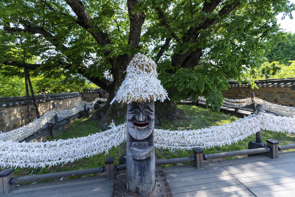 Cây Sồi (Zelkova) có tuổi đời hơn 600 năm - là nơi du khách thăm quan đều viết giấy buộc vào các cột dây chăng dưới gốc cây để cầu sức khỏe, bình an và may mắn. (Ảnh: Anh Nguyên/TTXVN)