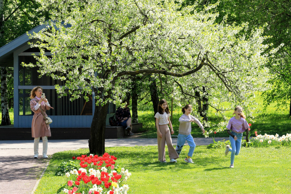 Vườn cây ăn quả được hình thành trong công viên Kolomenskoye từ thế kỷ XIV. (Ảnh: Trần Hiếu/TTXVN)