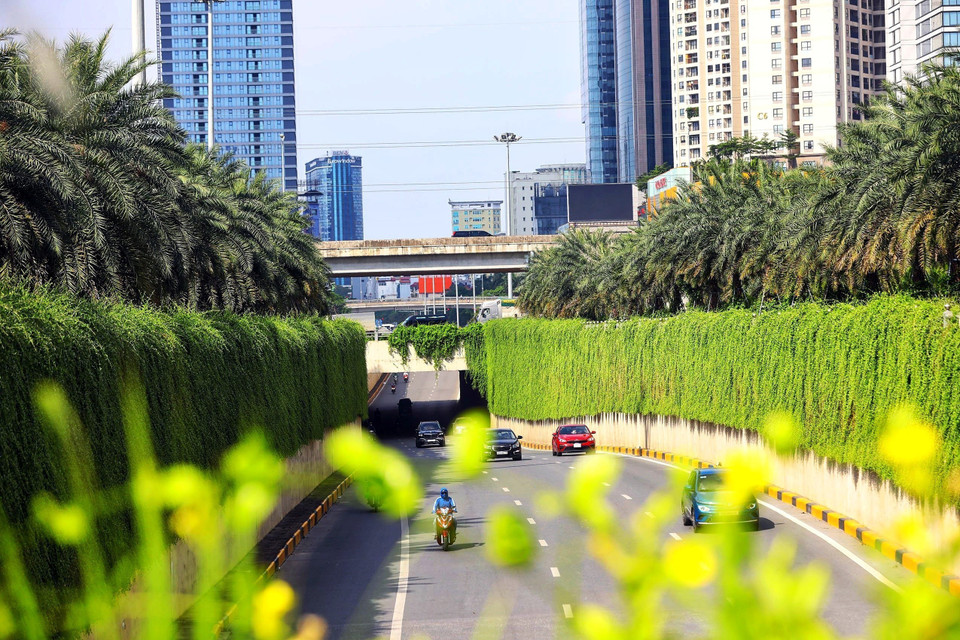 Cây xanh trên các tuyến đường giao thông tạo cảnh quan trong sạch và bóng mát cho các phương tiện tham gia giao thông. (Ảnh: Huy Hùng/TTXVN)
