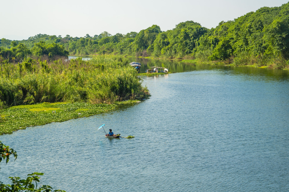 Người vô gia cư câu cá, đánh bắt cá ở bãi lau sậy dưới chân cầu Long Biên (Hà Nội). (Ảnh: Linh Khánh/TTXVN)