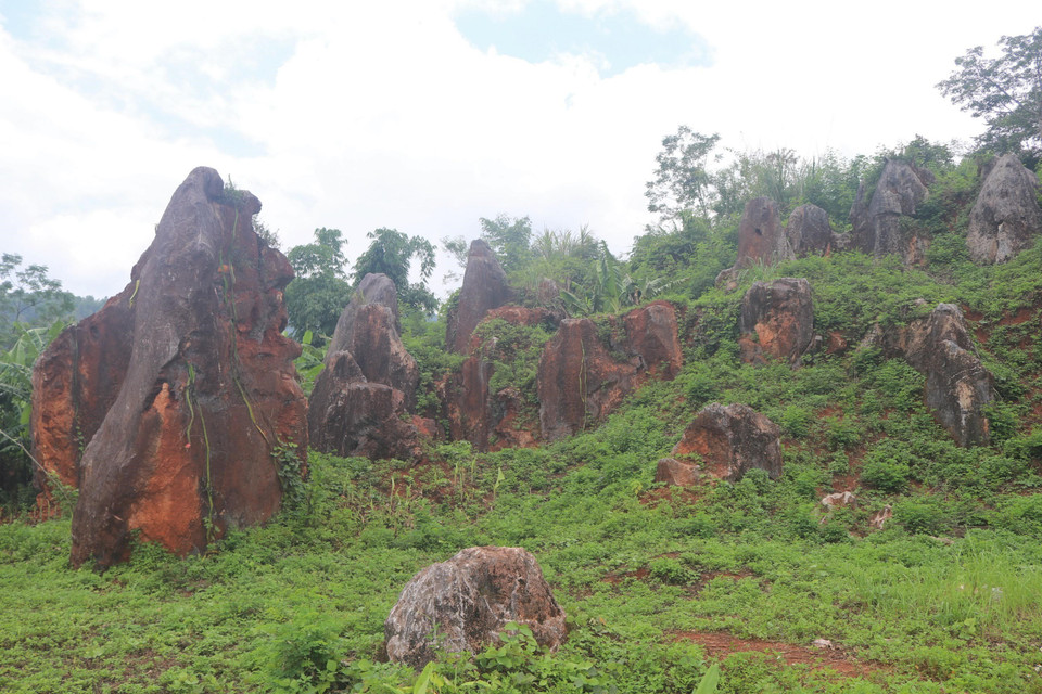 Những cột đá độc đáo trong vườn đá Hoàng Tung, huyện Hòa An, tỉnh Cao Bằng. (Ảnh: Chu Hiệu/TTXVN)