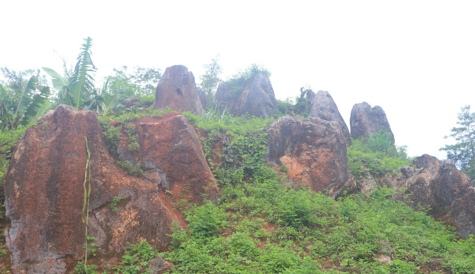 Các quá trình phong hóa, hòa tan, rửa lũa, xâm thực, bào mòn... của tự nhiên kéo dài nhiều triệu năm tạo nên những cột đá độc đáo như ngày nay. (Ảnh: Chu Hiệu/TTXVN)