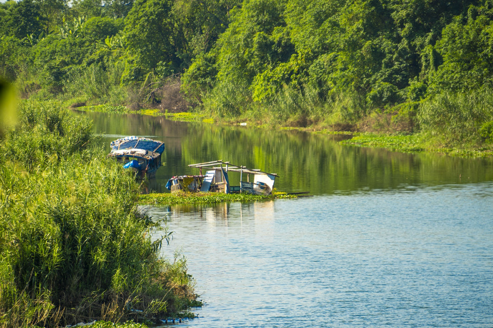 Người vô gia cư câu cá, đánh bắt cá ở bãi lau sậy dưới chân cầu Long Biên (Hà Nội). (Ảnh: Linh Khánh/TTXVN)