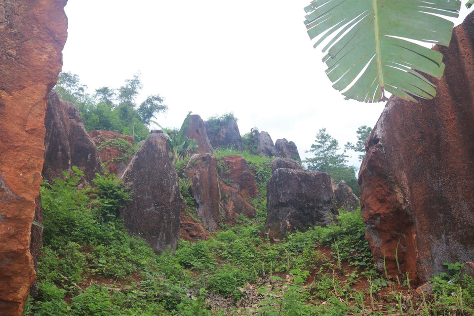 Những cột đá độc đáo trong vườn đá Hoàng Tung, huyện Hòa An, tỉnh Cao Bằng. (Ảnh: Chu Hiệu/TTXVN)