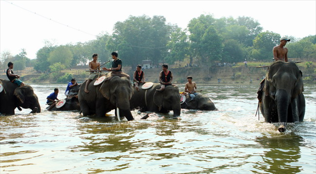 Nếu đến Bản Đôn vào những ngày tháng Ba, du khách còn được chiêm ngưỡng lễ hội đua voi nơi đây.