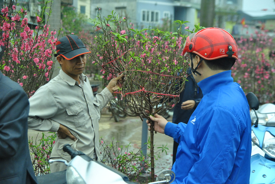 Chiều 30 Tết được xem là cơ hội cuối cùng không chỉ với những người trồng đào, mà còn là cho những người dân vẫn chưa tìm được cho gia đình một cành đào ưng ý.