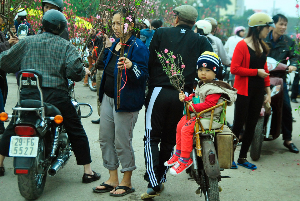 Hai bố con người đàn ông này có vẻ đã chọn được về một cành đào ưng ý.
