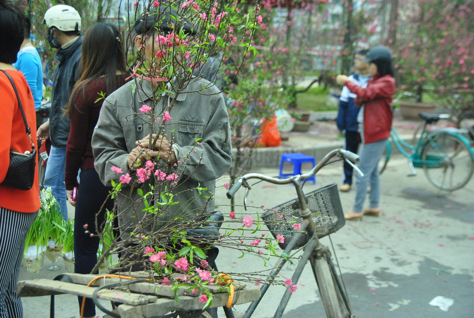 Chợ đào chiều 30 Tết, người bán cố, kẻ vội mua, ai cũng mong được ưng ý để về nhà đón Giao thừa.