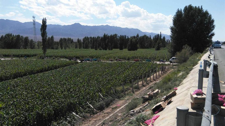 Ngay sau đó, cảnh sát đã đến nhưng hiện trường chỉ còn lại những thùng giấy trống rỗng. (Nguồn: QQ)