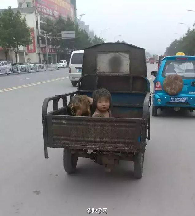 Người cha của cậu bé, trụ cột gia đình, nuôi sống cả nhà bằng nghề nuôi lợn. Người mẹ bị rối loạn tâm thần. (Nguồn: Sina)