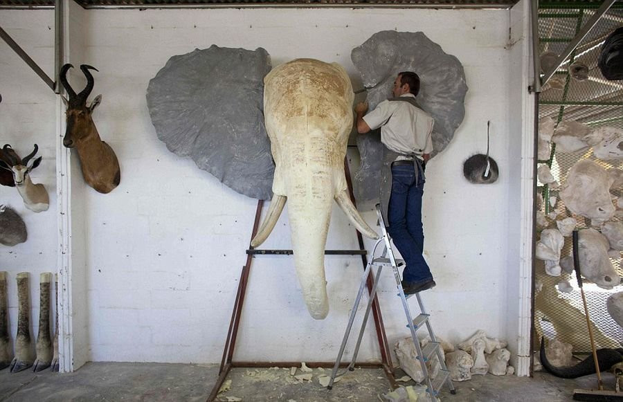 Người công nhân này đang làm mô hình voi. (Nguồn: QQ)