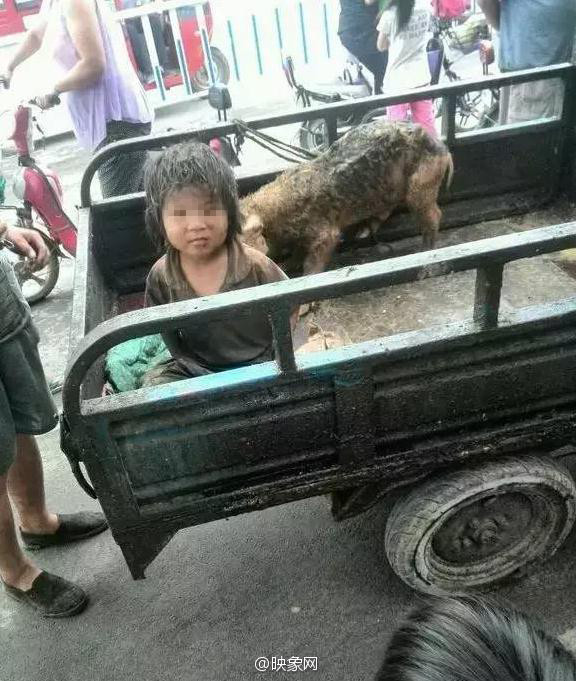 Cư dân mạng Trung Quốc đang xôn xao về câu chuyện của cậu bé 7 tuổi ở huyện Thanh Phong, Bộc Dương, Hà Nam chưa biết nói và phải sống cùng những con lợn. (Nguồn: Sina)