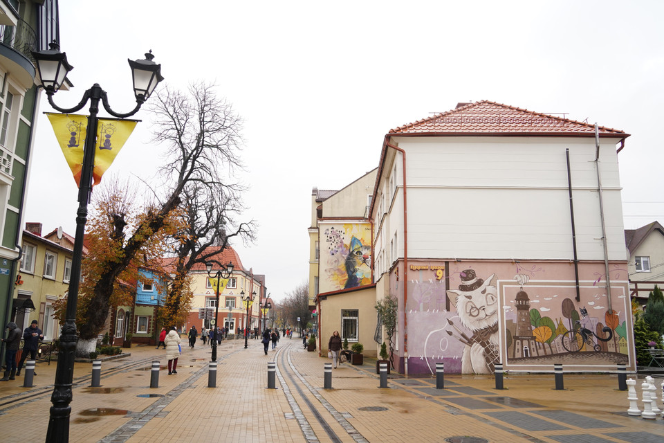 Thị trấn mèo Zelenograd, với phố đi bộ trung tâm Kurortny Prospekt mà ở đâu bạn cũng có thể cảm nhận được bóng dáng của mèo. (Nguồn: TTXVN)