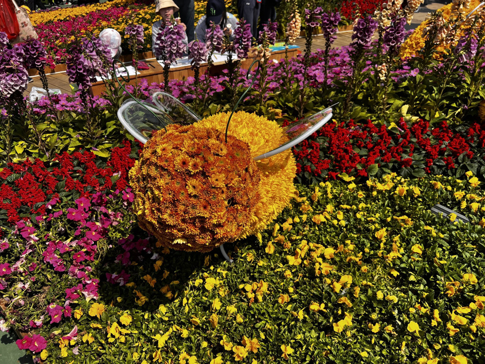 Triển lãm hoa do Cục Văn hóa và Giải trí Hong Kong tổ chức, diễn ra tại công viên Victoria, từ ngày 10-19/3. (Ảnh: Mạc Luyện/TTXVN)