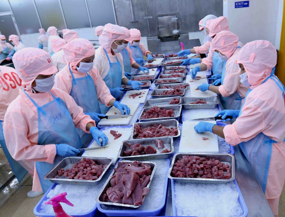 Là một lực lượng lao động xã hội đông đảo, phụ nữ Việt Nam đã tỏ rõ vai trò, khả năng, sức sáng tạo của mình trên mọi lĩnh vực của đời sống xã hội. (Ảnh: Vũ Sinh/TTXVN)