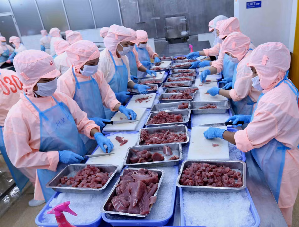 Là một lực lượng lao động xã hội đông đảo, phụ nữ Việt Nam đã tỏ rõ vai trò, khả năng, sức sáng tạo của mình trên mọi lĩnh vực của đời sống xã hội. (Ảnh: Vũ Sinh/TTXVN)