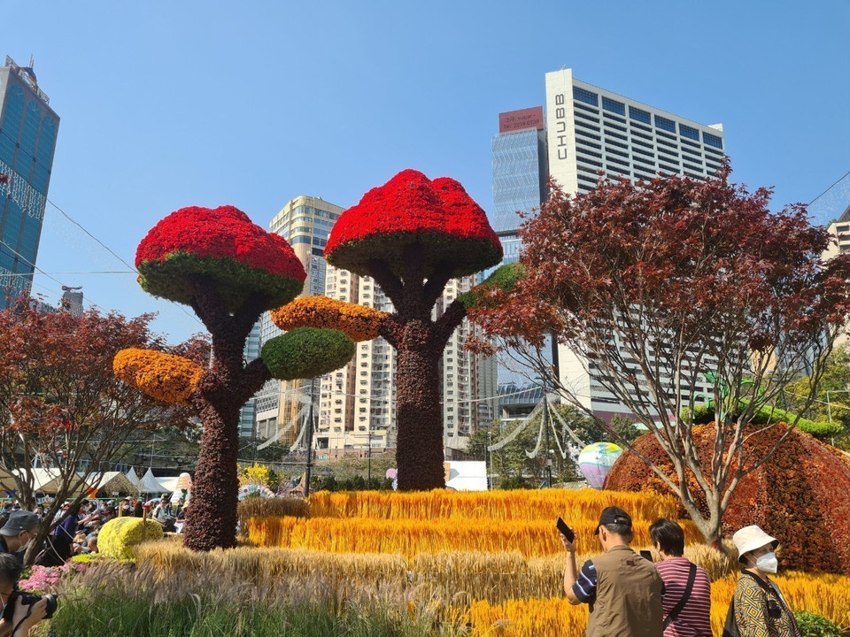 Triển lãm hoa tại Công viên Victoria, Hong Kong (Trung Quốc). (Ảnh: Mạc Luyện/TTXVN)