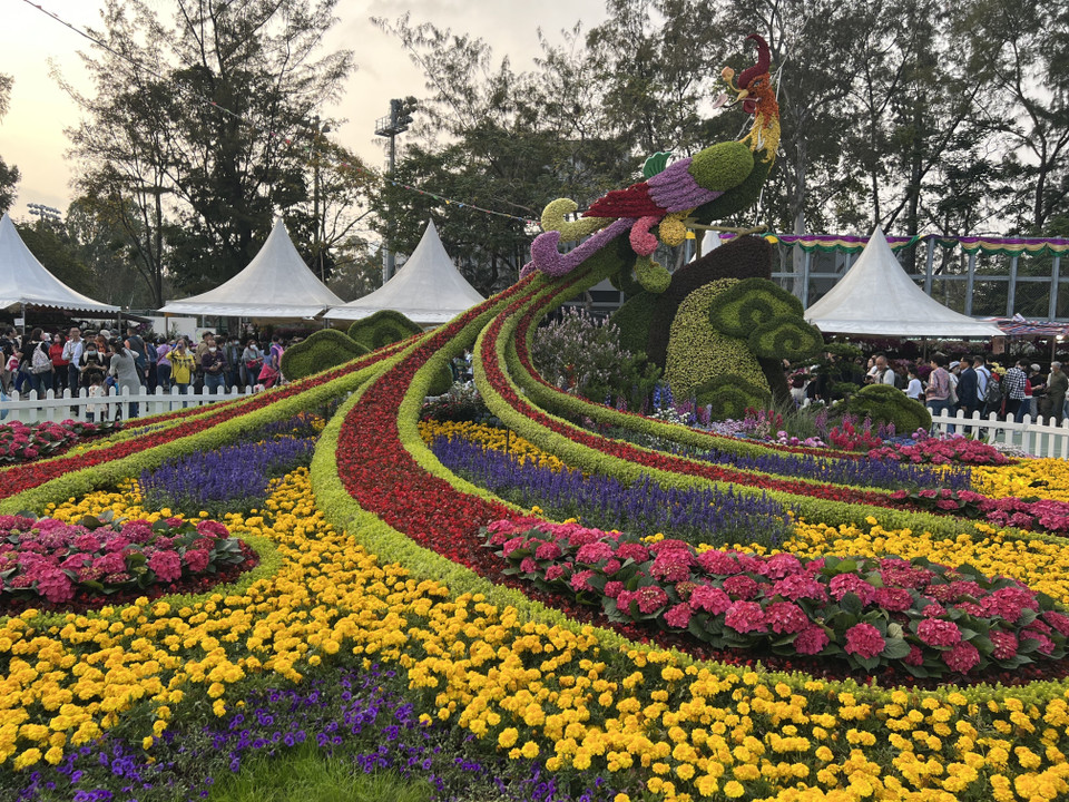 Tác phẩm được làm từ hoa tại Triển lãm hoa ở Hong Kong, Trung Quốc. (Ảnh: Mạc Luyện/TTXVN)