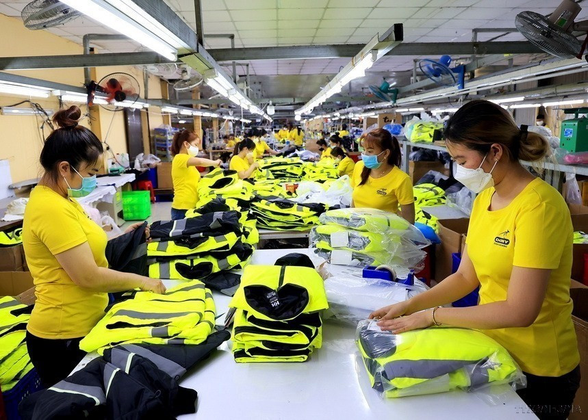 Là một lực lượng lao động xã hội đông đảo, phụ nữ Việt Nam đã tỏ rõ vai trò, khả năng, sức sáng tạo của mình trên mọi lĩnh vực của đời sống xã hội. (Ảnh: Hồng Đạt/TTXVN)