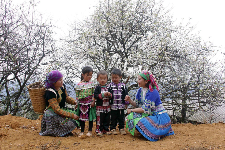 Du khách miền xuôi thích thú chụp ảnh cùng hoa sơn tra và người dân vùng cao. (Ảnh: Hữu Quyết/TTXVN)
