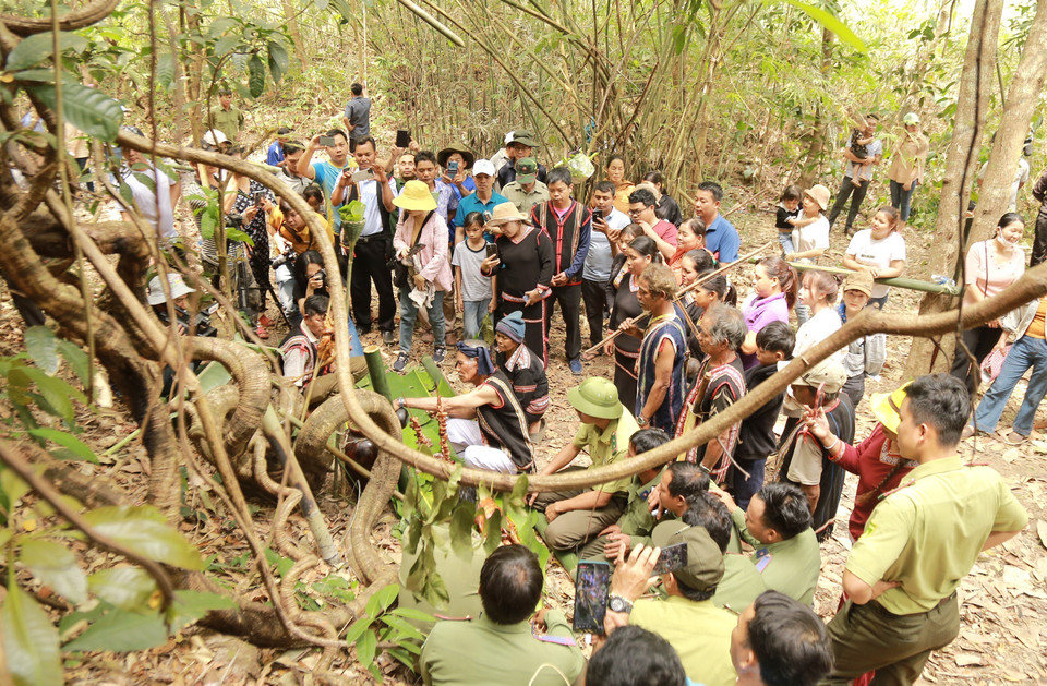 Già Siu Tới dâng lên một phần thức ăn ngon cúng Thần rừng cầu cho mưa thuận gió hòa, che chở, bảo vệ cho dân làng. (Ảnh: Quang Thái/TTXVN)