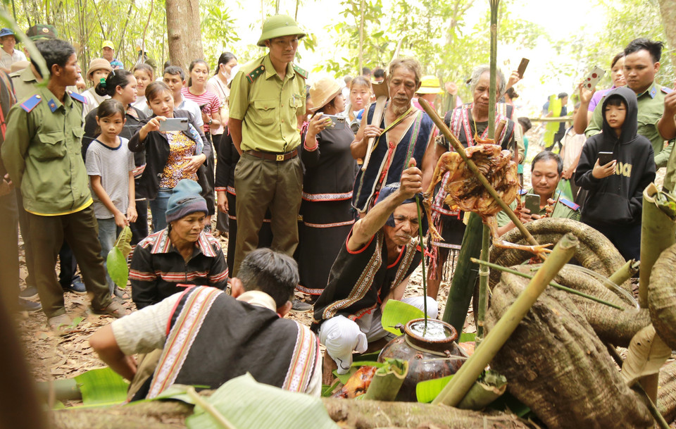 Cứ vào dịp tháng Ba hằng năm, người Jrai tại xã Ia Pếch, huyện Ia Grai (tỉnh Gia Lai) long trọng tổ chức Lễ cúng Thần rừng. Với người Jrai tại 2 làng Ograng và De Chí, Lễ cúng Thần Rừng là nghi lễ rất quan trọng, bởi đó là nơi khởi nguồn, bao bọc và chở che cho cộng đồng làng từ bao đời nay. (Ảnh: Quang Thái/TTXVN)