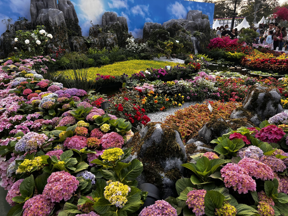 Biển hoa tại triển lãm hoa Hong Kong, Trung Quốc. (Ảnh: Mạc Luyện/TTXVN)