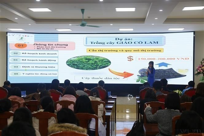 Đoàn viên, thanh niên trình bày dự án khởi nghiệp tại cuộc thi “Ý tưởng sáng tạo khởi nghiệp thanh niên Tuyên Quang” năm 2022. (Ảnh: Nam Sương/TTXVN)