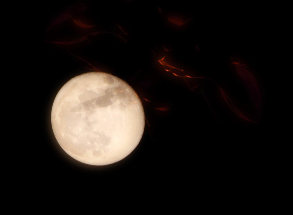 Hình ảnh Siêu Trăng lúc 24h ngày 30/9 tại Đan Phượng, Hà Nội. (Ảnh: Văn Điệp/TTXVN)